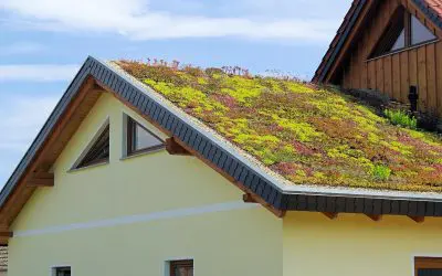 Top 10 Eco-Friendly Home Improvements for a Greener Home