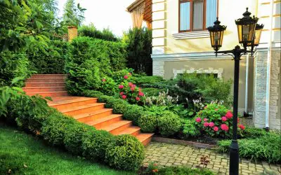 Landscape Design Tips for Homeowners