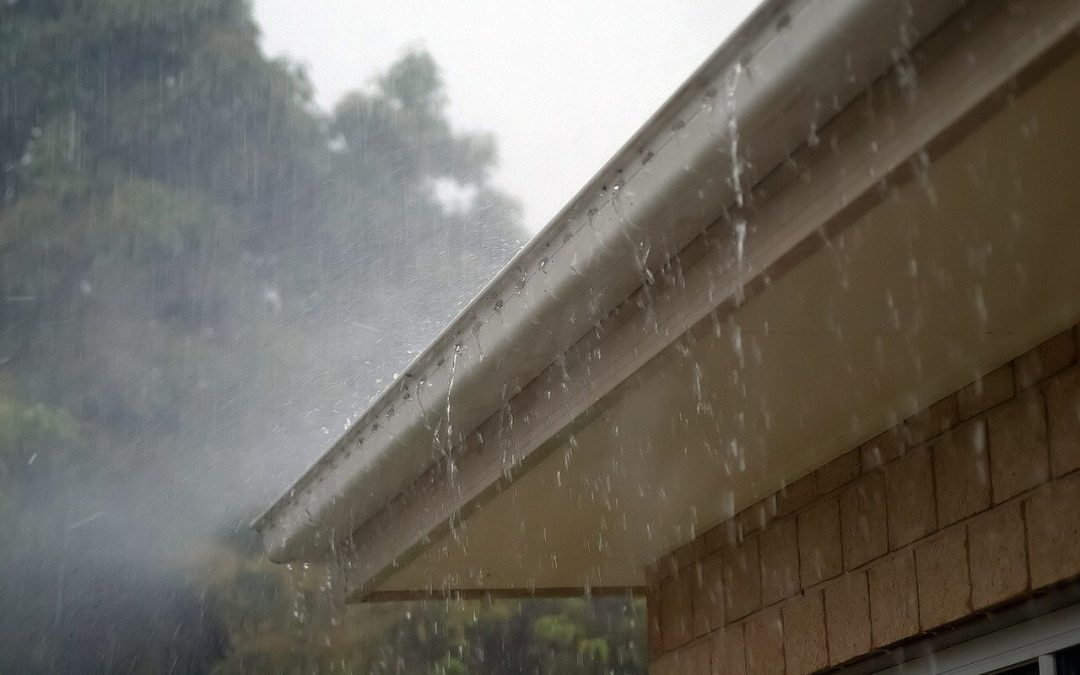 Safely Clean Your Home’s Gutters: A Step-by-Step Guide